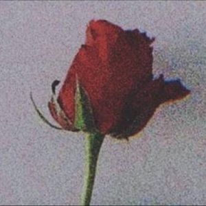 Meet your Posher, Garrett